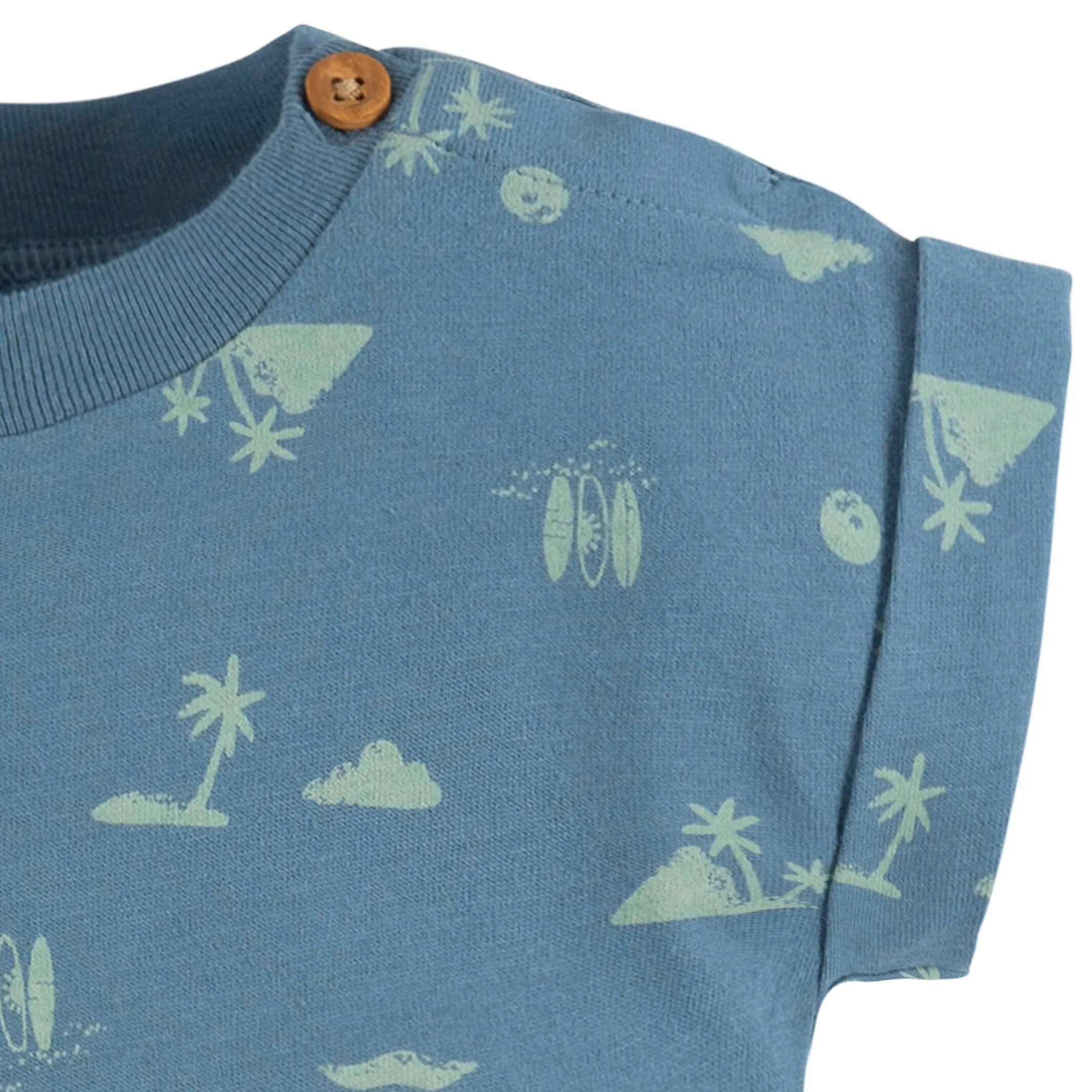 2-Pack Baby Boys Surfing Rompers Gerber Childrenswea