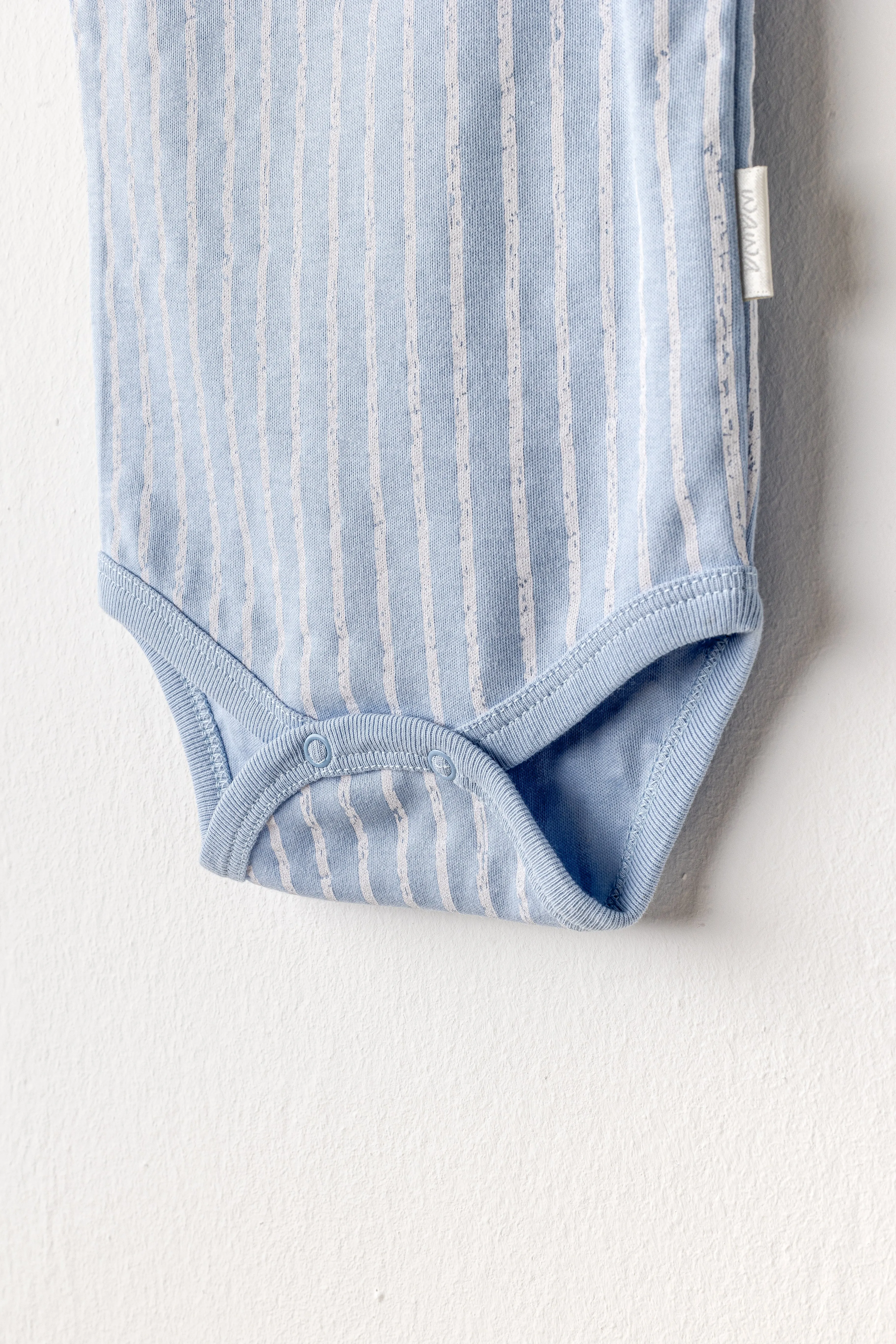Beige and Blue Dino Bodysuits