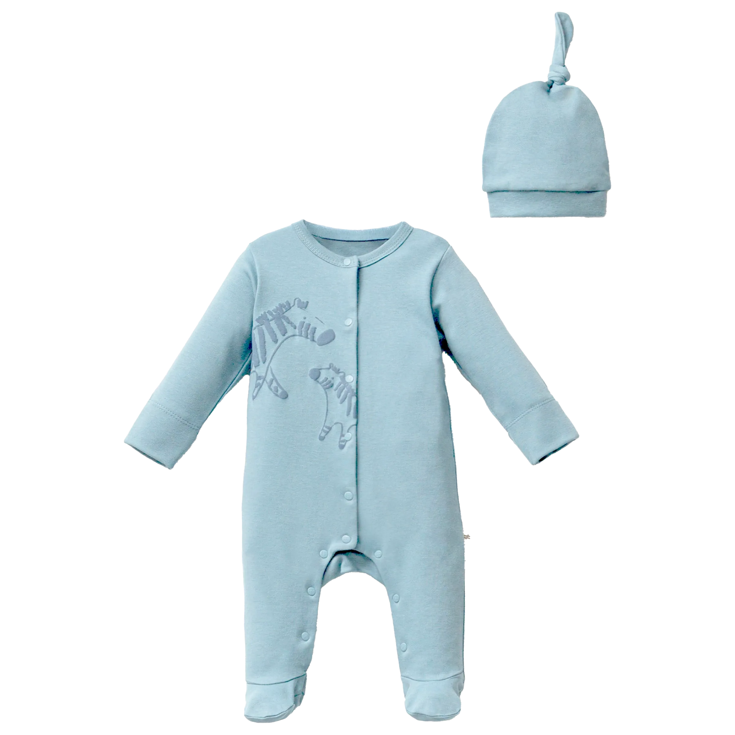 Blue Zebra Graphic Babygrow & Hat