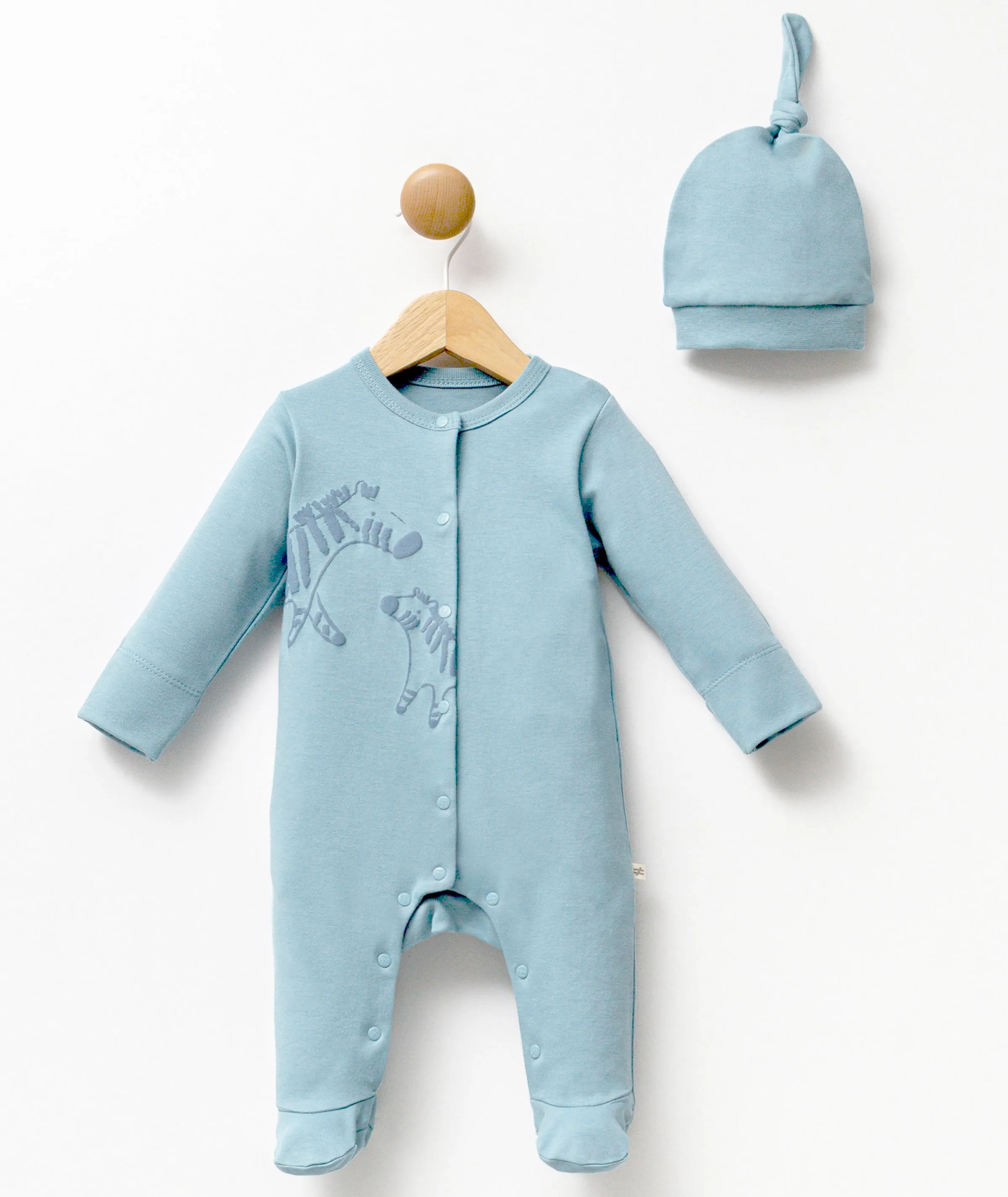 Blue Zebra Graphic Babygrow & Hat