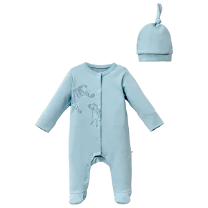 Blue Zebra Graphic Babygrow & Hat