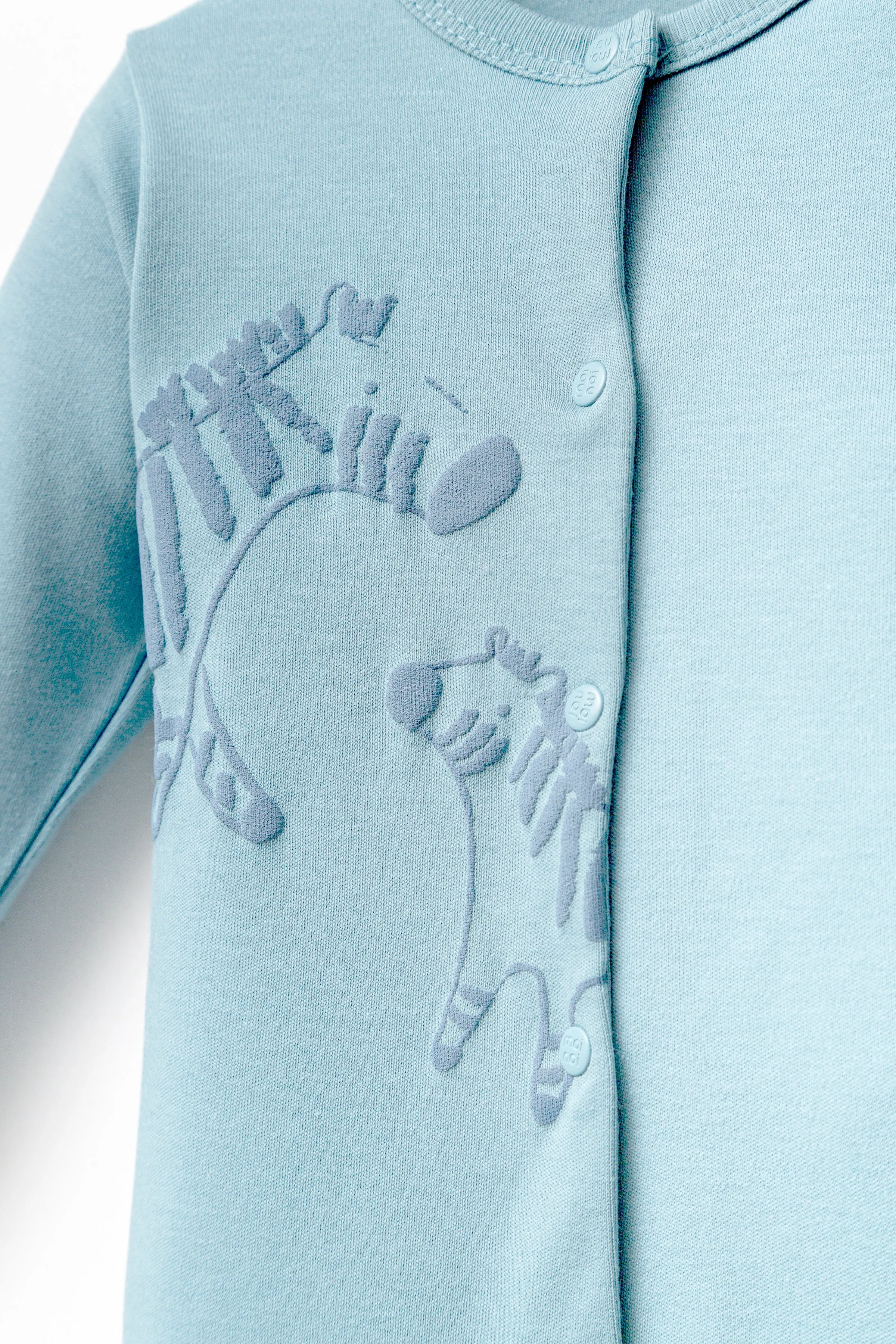 Blue Zebra Graphic Babygrow & Hat