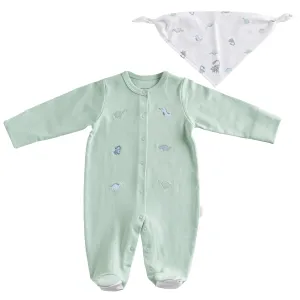 Green Dinosaur Print Babygrow & Bib