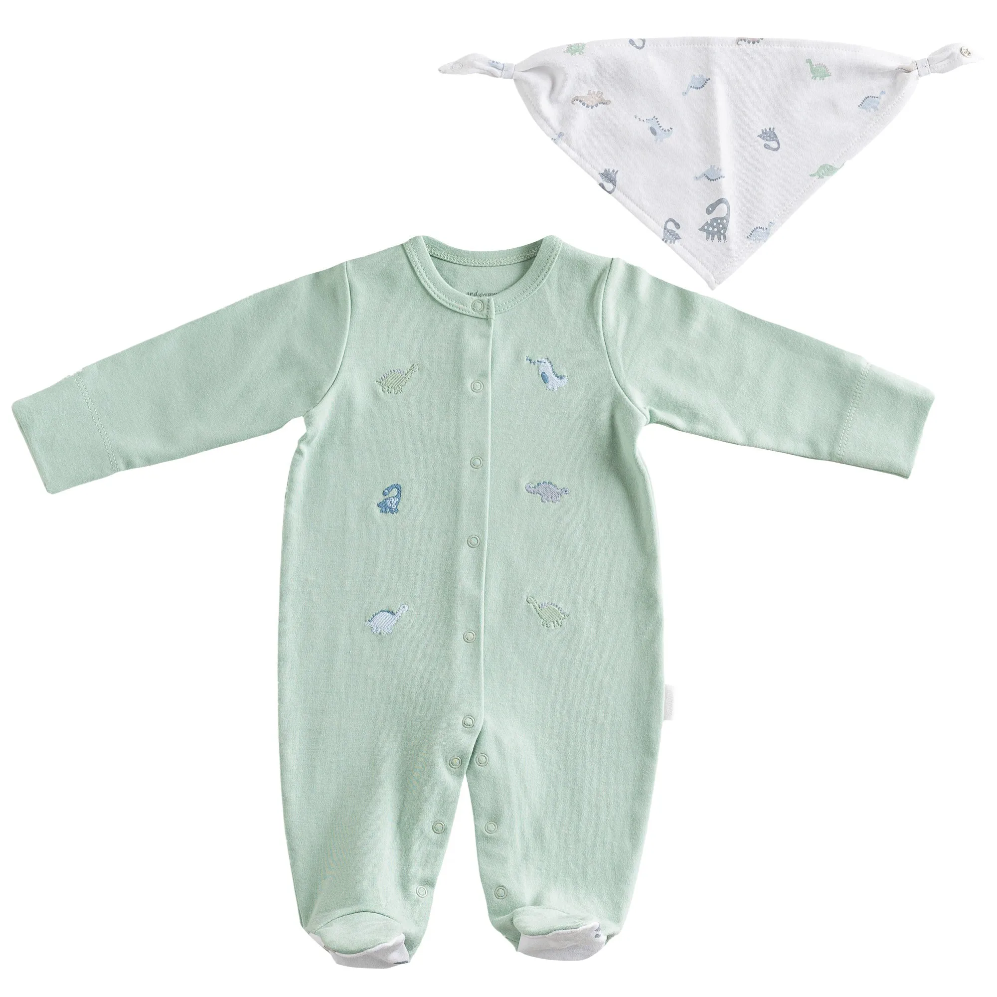 Green Dinosaur Print Babygrow & Bib