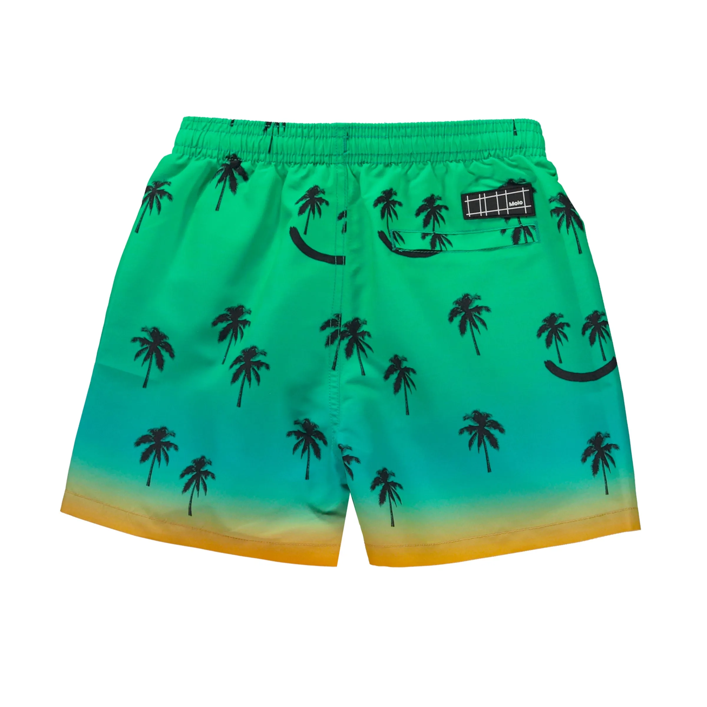Green Niko Printed Swim Shorts
