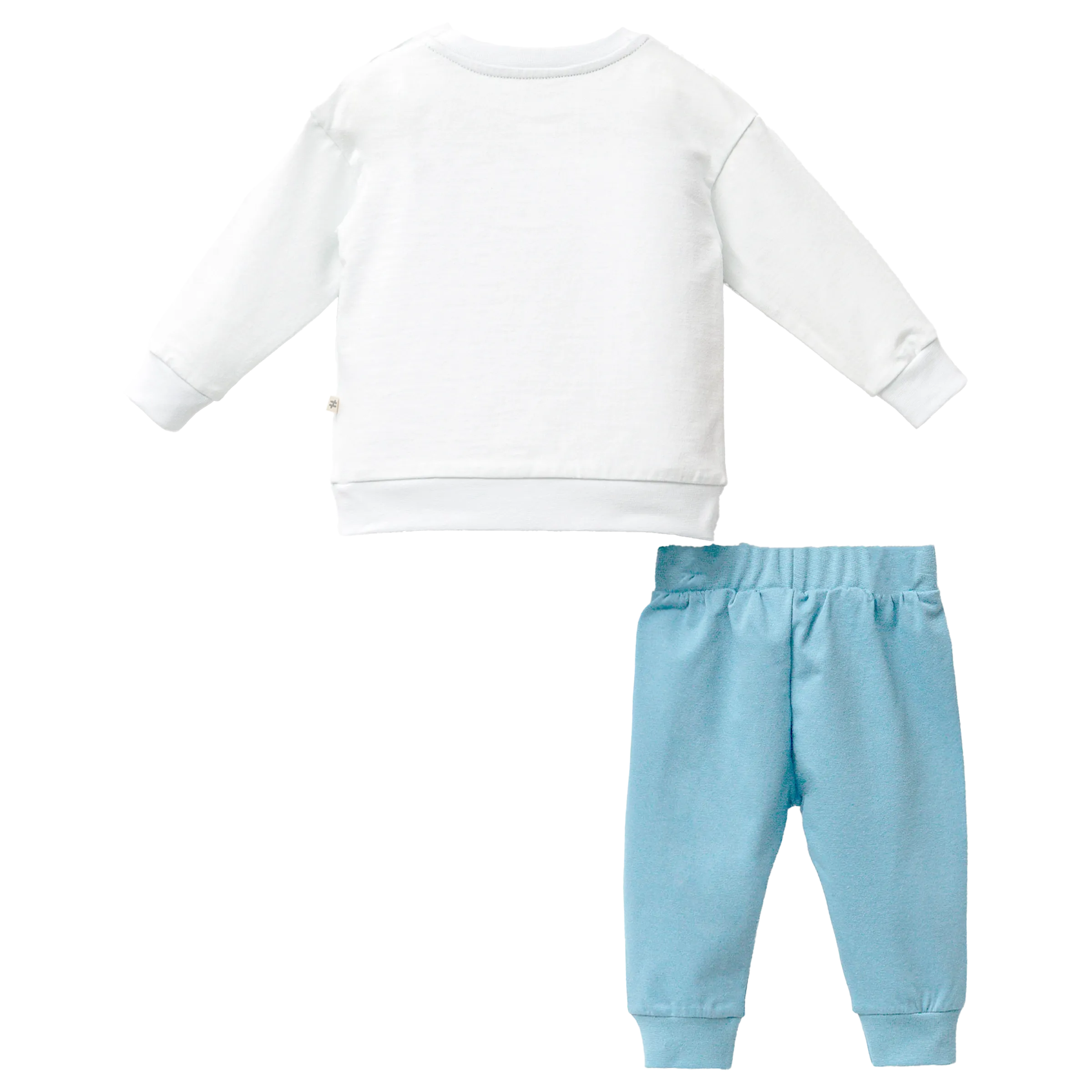 White Winter Goose Graphic Outfit