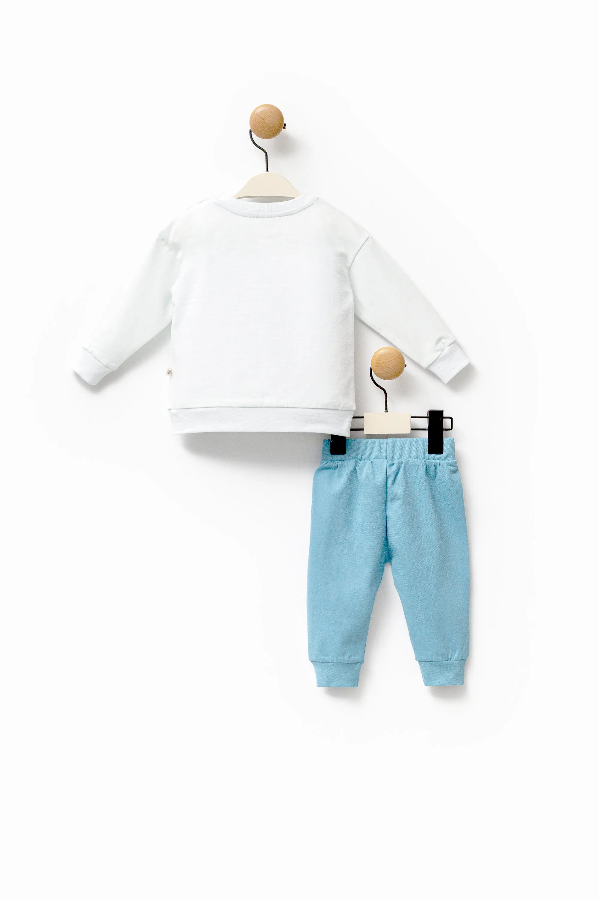 White Winter Goose Graphic Outfit